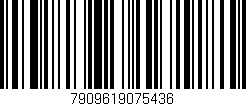 Código de barras (EAN, GTIN, SKU, ISBN): '7909619075436'
