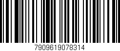 Código de barras (EAN, GTIN, SKU, ISBN): '7909619078314'