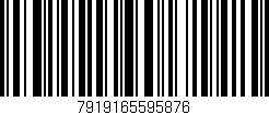 Código de barras (EAN, GTIN, SKU, ISBN): '7919165595876'