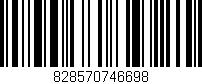 Código de barras (EAN, GTIN, SKU, ISBN): '828570746698'