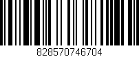 Código de barras (EAN, GTIN, SKU, ISBN): '828570746704'
