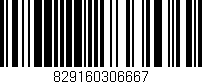 Código de barras (EAN, GTIN, SKU, ISBN): '829160306667'