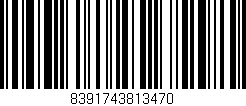 Código de barras (EAN, GTIN, SKU, ISBN): '8391743813470'