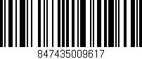 Código de barras (EAN, GTIN, SKU, ISBN): '847435009617'