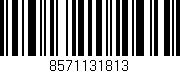 Código de barras (EAN, GTIN, SKU, ISBN): '8571131813'