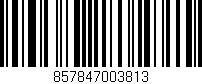 Código de barras (EAN, GTIN, SKU, ISBN): '857847003813'