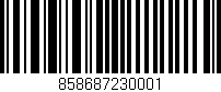 Código de barras (EAN, GTIN, SKU, ISBN): '858687230001'