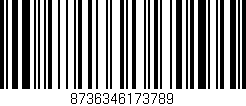 Código de barras (EAN, GTIN, SKU, ISBN): '8736346173789'