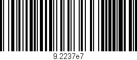 Código de barras (EAN, GTIN, SKU, ISBN): '9.2237e7'