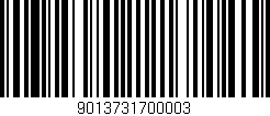 Código de barras (EAN, GTIN, SKU, ISBN): '9013731700003'