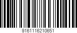 Código de barras (EAN, GTIN, SKU, ISBN): '9161116210651'