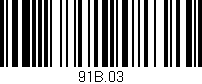 Código de barras (EAN, GTIN, SKU, ISBN): '91B.03'