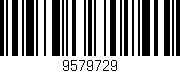 Código de barras (EAN, GTIN, SKU, ISBN): '9579729'