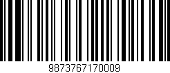 Código de barras (EAN, GTIN, SKU, ISBN): '9873767170009'