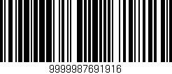 Código de barras (EAN, GTIN, SKU, ISBN): '9999987691916'