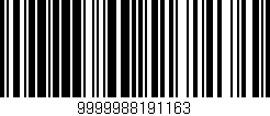 Código de barras (EAN, GTIN, SKU, ISBN): '9999988191163'