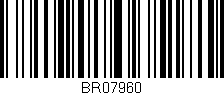 Código de barras (EAN, GTIN, SKU, ISBN): 'BR07960'