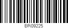 Código de barras (EAN, GTIN, SKU, ISBN): 'BR09225'
