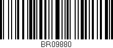 Código de barras (EAN, GTIN, SKU, ISBN): 'BR09880'