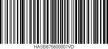 Código de barras (EAN, GTIN, SKU, ISBN): 'HASB675600001VD'