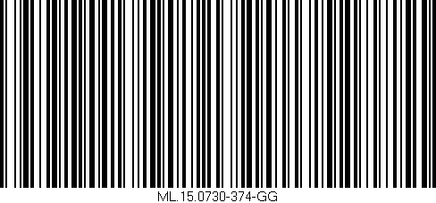Código de barras (EAN, GTIN, SKU, ISBN): 'ML.15.0730-374-GG'