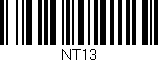 Código de barras (EAN, GTIN, SKU, ISBN): 'NT13'