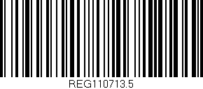 Código de barras (EAN, GTIN, SKU, ISBN): 'REG110713.5'