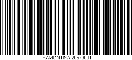 Código de barras (EAN, GTIN, SKU, ISBN): 'TRAMONTINA-20579001'