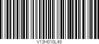 Código de barras (EAN, GTIN, SKU, ISBN): 'V13H010L49'