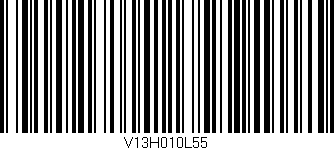 Código de barras (EAN, GTIN, SKU, ISBN): 'V13H010L55'
