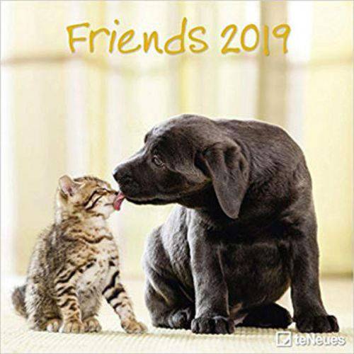 2019 Friends Broschurenkalender - 30x30