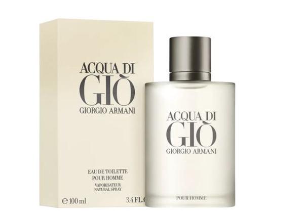 Acqua Di Giò Pour Homme Edt- Perfume Masculino 100ml - Giorgio Armani