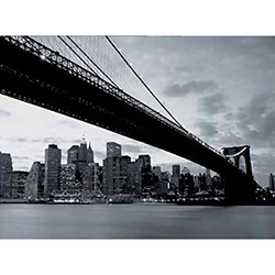 Tudo sobre 'Adesivo de Parede New York-007 Wallness Urban Preto/Branco (232x315cm)'