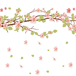 Adesivo de Parede Ramo de Sakura Grudado Colorido (45x150cm)