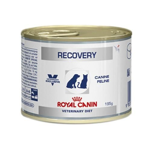 Alimento Úmido Recovery Lata Royal Canin Cães e Gatos 195g
