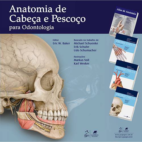 Tudo sobre 'Anatomia de Cabeça e Pescoço para Odontologia'