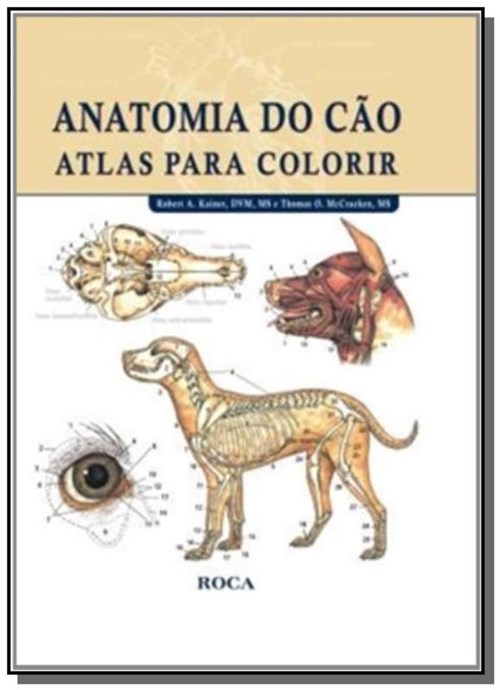 Anatomia do Cao Atlas para Colorir