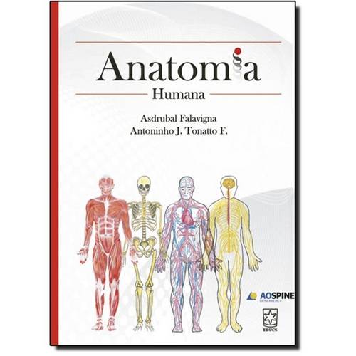 Tudo sobre 'Anatomia Humana'