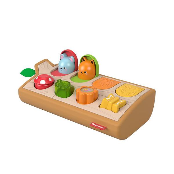 Animais de Atividades - Aprender e Brincar - Fisher-Price - Fisher Price