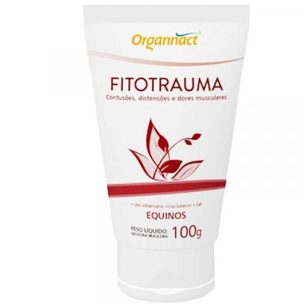 Anti-inflamatorio Fitotrauma Gel 100g Organnact