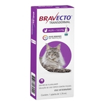 Antipulgas MSD Bravecto Transdermal para Gatos de 6,25 a 12,5Kg