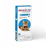 Antipulgas Msd Bravecto Transdermal Para Gatos De 2,8 A 6,25kg