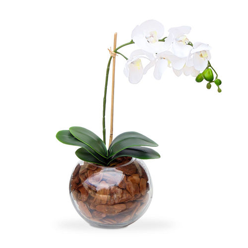 Tudo sobre 'Arranjo de Flor Artificial Orquidea Branca no Bowl de Vidro 45x20'