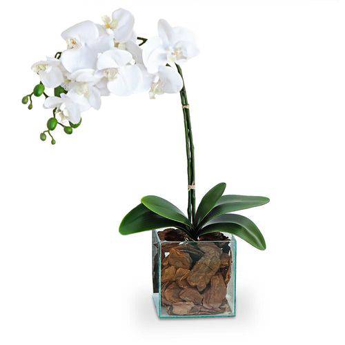 Tudo sobre 'Arranjo de Flores Artificiais Orquideas Brancas Cachepot Vidro 45x20 Cm'