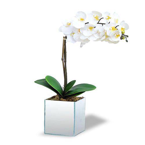 Tudo sobre 'Arranjo de Flores Artificiais Orquideas Brancas no Cachepot Vidro Espelhado'