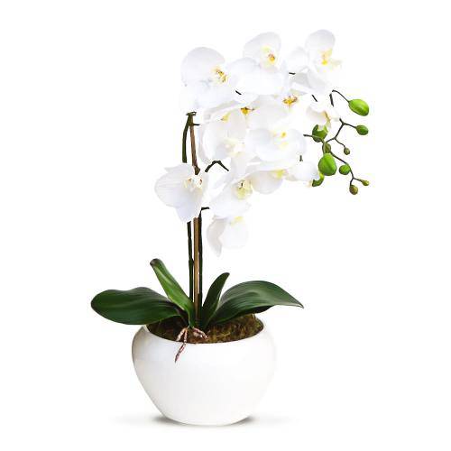 Arranjo de Flores Artificiais Orquideas Brancas Vaso Bowl 45x20 Cm