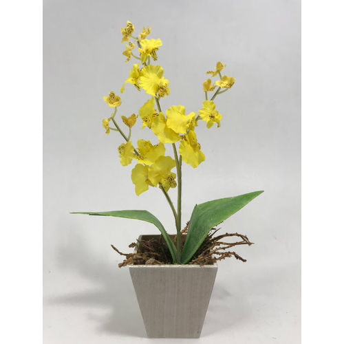 Tudo sobre 'Arranjo Mini Orquídea Artificial Chuva de Ouro'