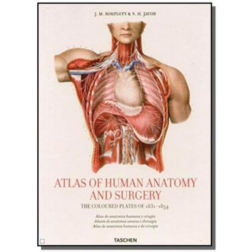 Atlas Anatomico