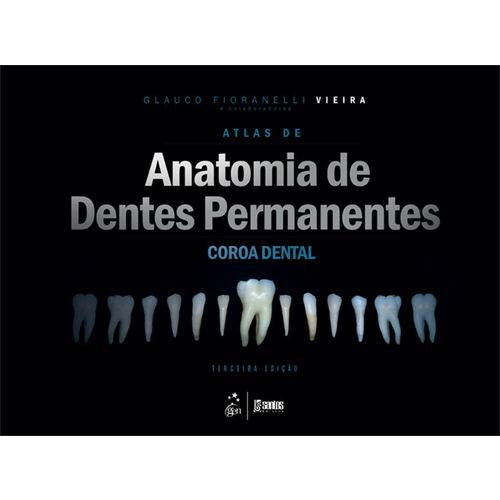 Tudo sobre 'Atlas de Anatomia de Dentes Permanentes'