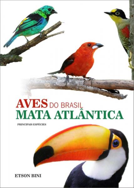 Aves do Brasil - Mata Atlantica - Homem Passaro - 1